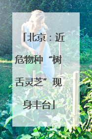 北京：近危物种“树舌灵芝”现身丰台